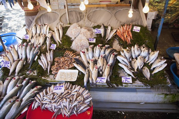 Turkey, Istanbul, Karakoy Galata fish market display of fresh catch. 
Photo : Stephen Rafferty