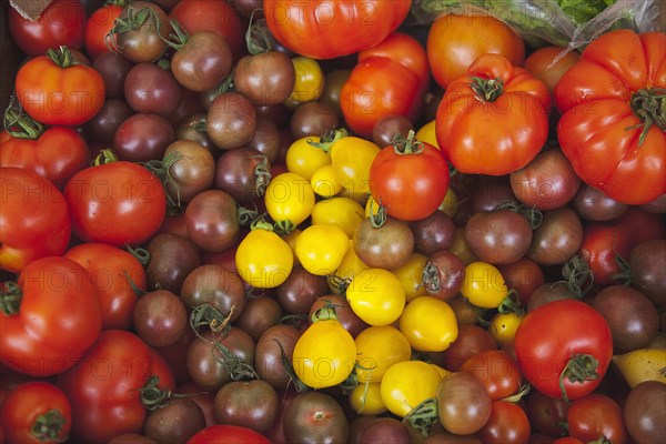 Food, Fresh, Organic, Varieties of tomato on display in Farmers market.
Photo : Stephen Rafferty