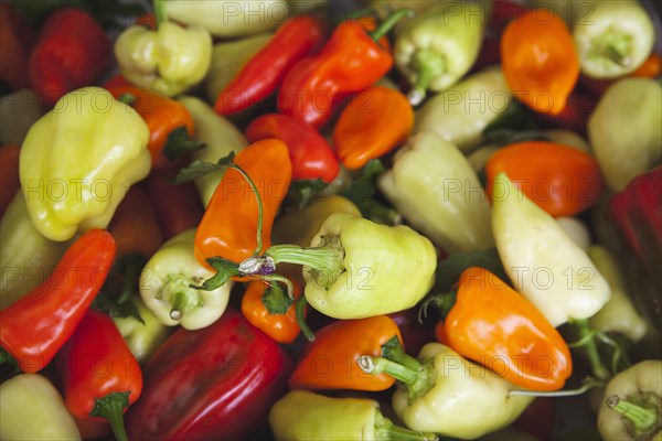 Food, Fresh, Organic, Chillies on display in Farmers market. 
Photo : Stephen Rafferty