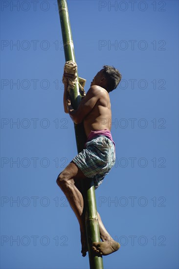 BAMBOO POLE CLIMBING, NAGA WARRIOR TRIBE, NAGALAND, NORTH EAST INDIA