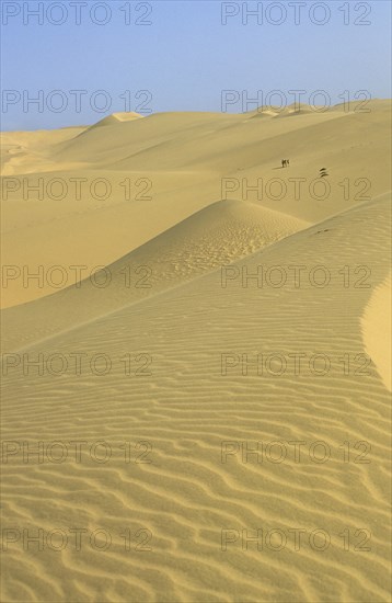 Namibia, Namib, Naukluft Desert, Sand dunes in the De Beers Diamond mining area. 
Photo : Adrian Arbib