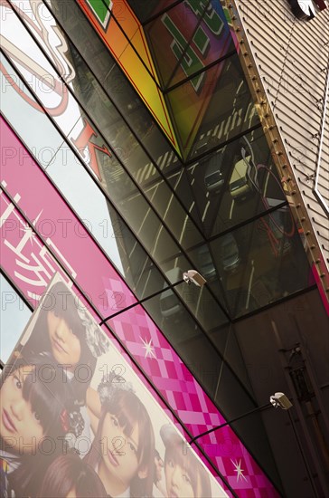 Japan, Honshu, Tokyo, Ginza district reflection of busy traffic scene in glass fronted building. 
Photo : Jon Burbank