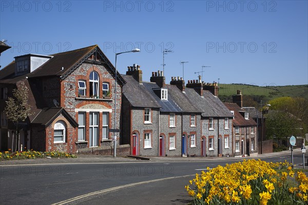 England, East Sussex, Lewes, Row of terraced houses in Little East Street with daffodils in the foreground. 
Photo : Stephen Rafferty