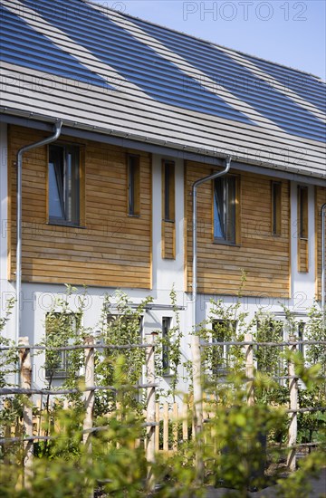 Architecture, Environment, Solar Power, Alternative Energy Electricity Solar photovoltaic roof tiles or slates on new houses by Linden Homes in Graylingwell Park. 
Photo : Paul Seheult