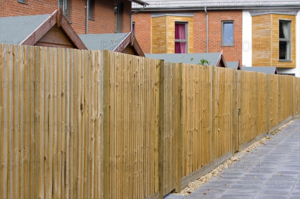 England, West Sussex, Chichester, Architecture Back garden wooden fencing and garden sheds of new houses by Linden Homes in Graylingwell Park. 
Photo : Paul Seheult