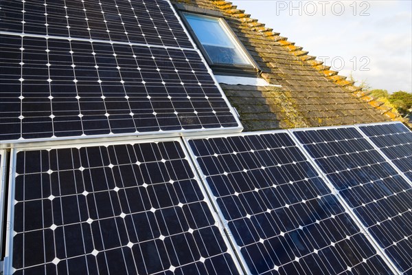 Architecture, Environment, Solar Panels, Alternative Energy Electricity Solar photovoltaic roof panels on detached house for electricity conversion. 
Photo : Paul Seheult