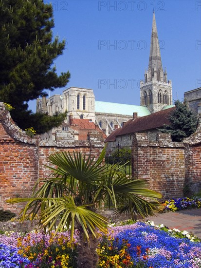 Chichester Cathedral from Bishops Gardens