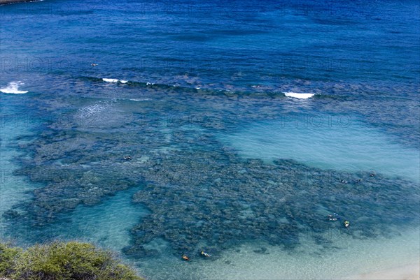 USA, Hawaii, Oahu Island, View over Hanuama Bay. 
Photo : Chris Penn