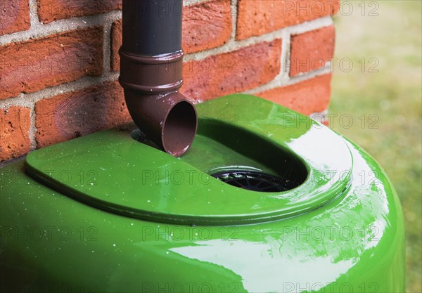 Plastic water butt collecting rain water from drainpipe