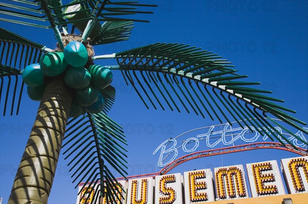 Plastic artificial Palm Tree with amusement arcade behind in clear blue sky.