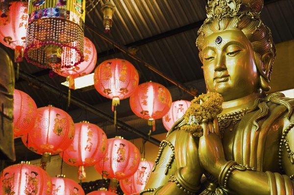 Gold Guanyin Goddess of Mercy statue with red lanterns for Chinese New Year.