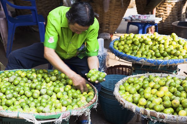 stall holder displaying limes in Chinatown market.