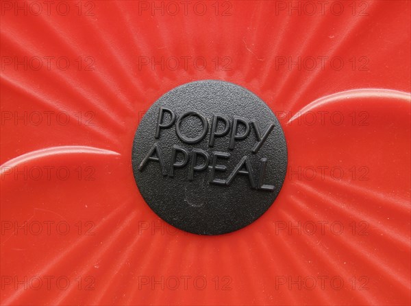 Detail of Poppy Appeal display.