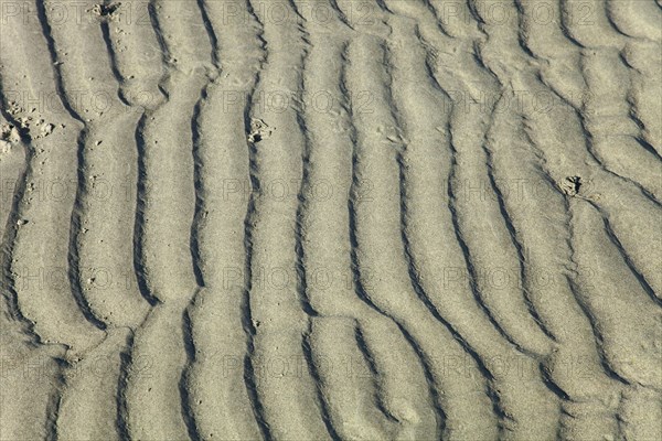 East Head Patterns in the sand at low tide.
