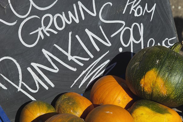 Pumpkins for sale at Grange Farms market store.