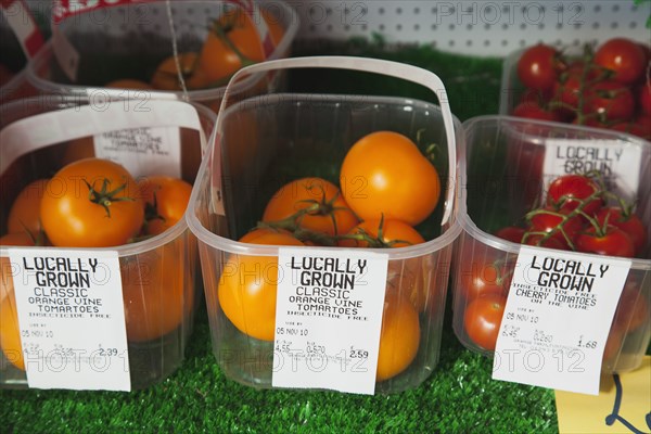 Locally grown Tomatoes for sale at Grange Farms market store.