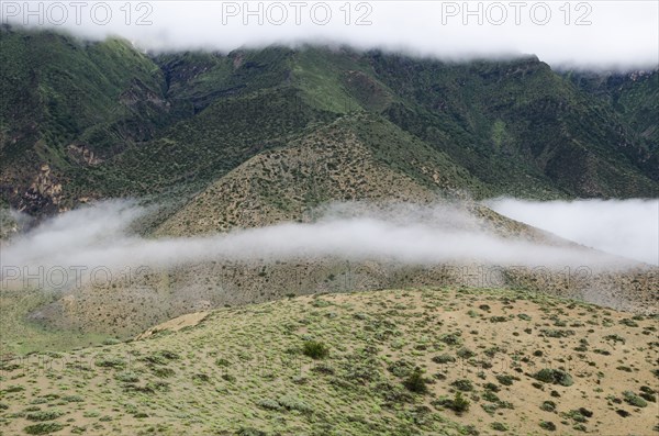 Morning cloud is floating near the small mountain near Samar village.