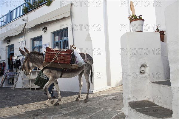 Working donkey carrying fruits and vegetables which his owner is selling at the streets.