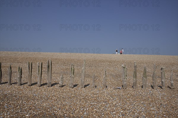 View of rotten wooden groynes on the shingle beach and people walking in distance..