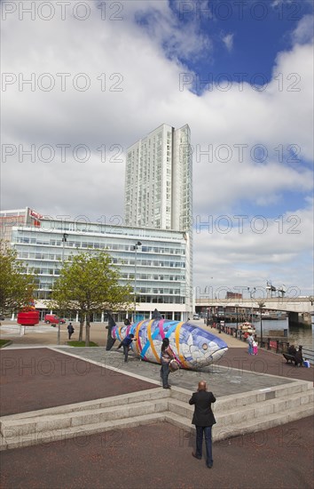 Donegall Quay The Big Fish Sculpture by John Kindness. The scales of the fish are pieces of printed blue tiles with details of Belfasts history. The 10 metre long structure is situated beside the Lagan Weir opposite the old Custom House.