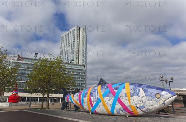 Donegall Quay The Big Fish Sculpture by John Kindness. The scales of the fish are pieces of printed blue tiles with details of Belfasts history. The 10 metre long structure is situated beside the Lagan Weir opposite the old Custom House.