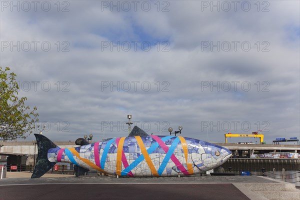 Donegall Quay The Big Fish Sculpture by John Kindness. The scales of the fish are pieces of printed blue tiles with details of Belfasts history. The 10 metre long structure is situated beside the Lagan Weir opposite the old Custom House.