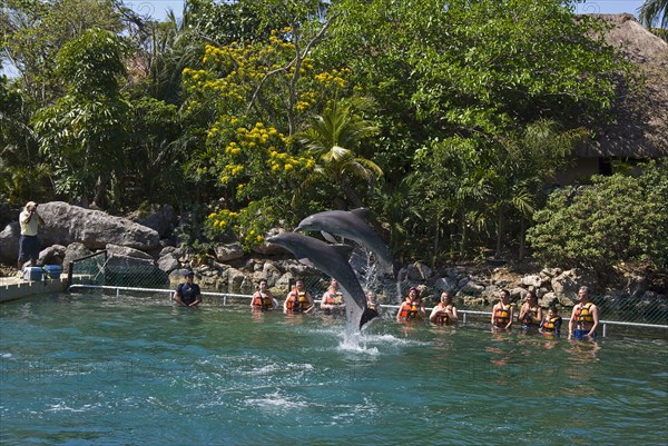 Marina Dolphin Experience.