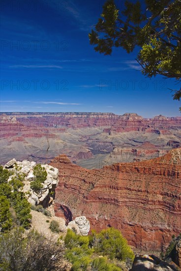 Grand Canyon. View across the Grand Canyon.