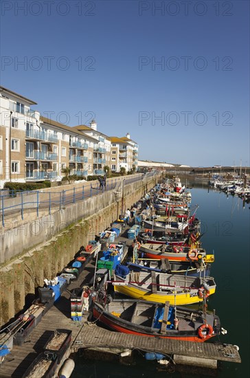 View over fishing boats moored in the Marina with apartment buildings behind.