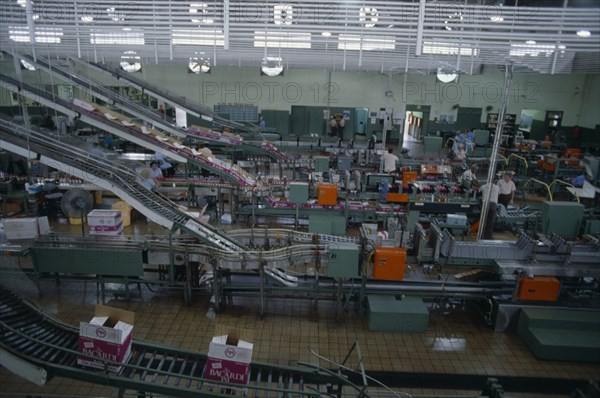 Puerto Rico, Industry, Bacardi factory interior and workers. Photo : Juliet Highet