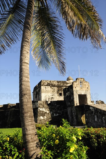 Mexico, Veracruz, Baluarte de Santiago historic fort now site of museum with palm tree and flowering shrubs in foreground. Photo : Nick Bonetti