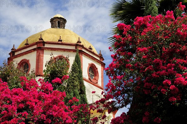 Mexico, Bajio, San Miguel de Allende, Dome of the Parroquia church with bright pink bougainvillea growing in foreground. Photo : Nick Bonetti