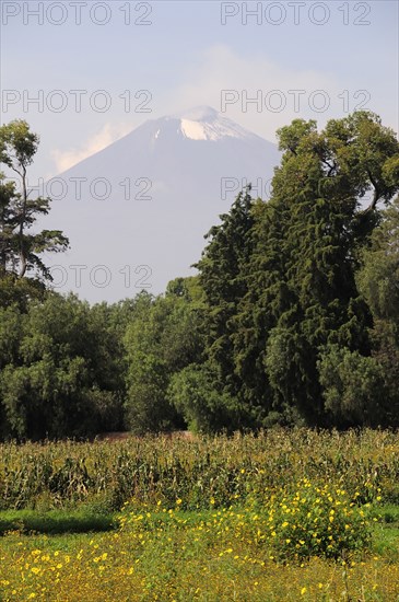 Mexico, Puebla, Popocatepetl, View of Popocatepetl volcanic cone with trees flowers and crops growing in foreground. Photo : Nick Bonetti