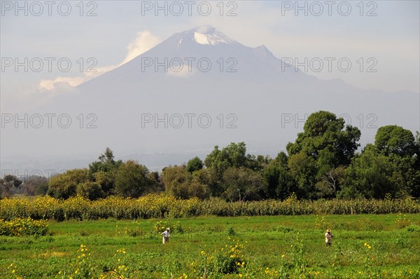 Mexico, Puebla, Popocatepetl, View towards volcanic cone of Popocatepetl with figures working in the fields in the foreground. Photo : Nick Bonetti