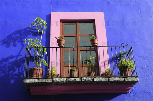 Mexico, Puebla, Colourful architectural detail of French window with pink painted frame set against blue painted exterior wall with balcony and pot plants. Photo : Nick Bonetti
