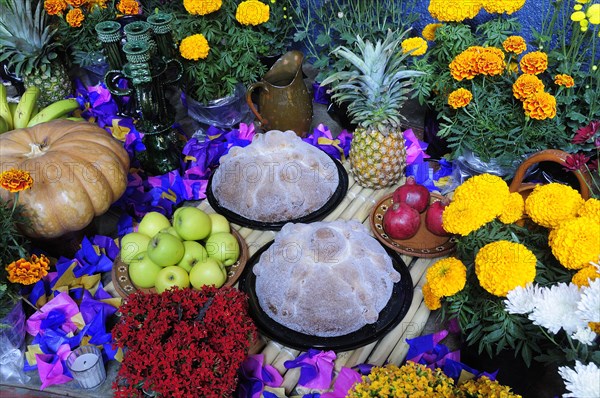Mexico, Michoacan, Patzcuaro, Altar with display of food and flowers including marigolds for Dia de los Muertos or Day of the Dead festivities. Photo : Nick Bonetti