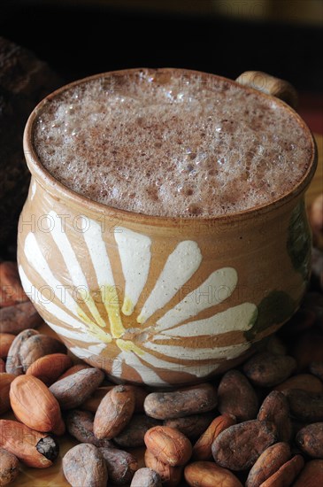 Mexico, Oaxaca, Chocolate caliente hot chocolate in painted cup with cocoa beans. Photo : Nick Bonetti