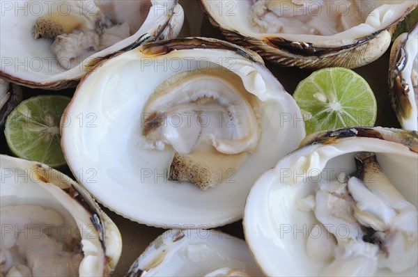 Mexico, Oaxaca, Huatulco, Almejas or clams served in their shells with cut halves of lime. Photo : Nick Bonetti
