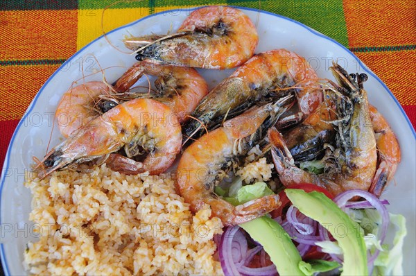 Mexico, Oaxaca, Huatulco, Gambas or prawns served on plate with sliced onion avocado tomato and couscous salad. Photo : Nick Bonetti