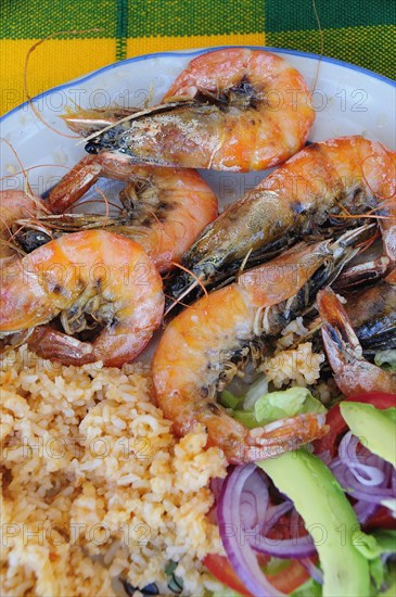 Mexico, Oaxaca, Huatulco, Gambas or prawns served on blue and white plate with sliced onion avocado tomato and couscous salad. Photo : Nick Bonetti