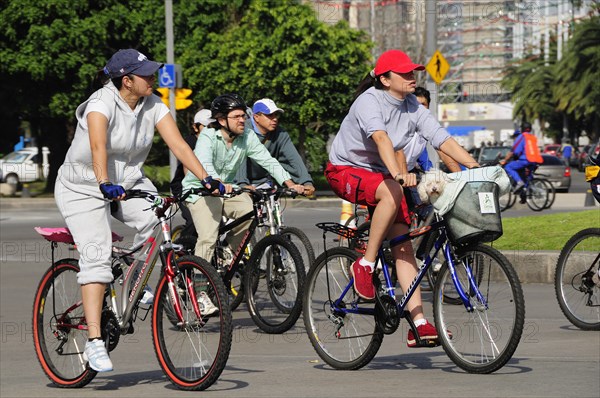 Mexico, Federal District, Mexico City, Cyclists on Reforma one carrying small dog in basket on bicycle handlebars. Photo : Nick Bonetti
