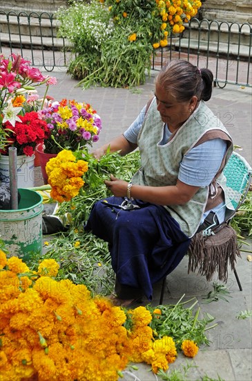 Mexico, Bajio, Guanajuato, Woman preparing marigold bunches on street stall in the Plaza del Baratillo. Photo : Nick Bonetti