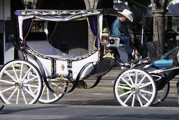 Mexico, Jalisco, Guadalajara, Horse drawn carriage or calandrias and driver in the Plaza de Armas. Photo : Nick Bonetti