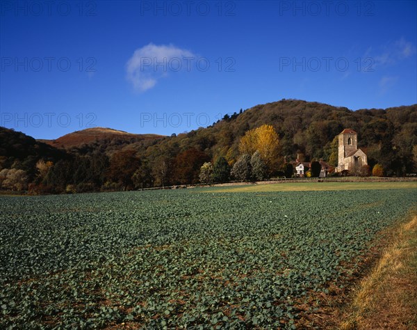 England, Hereford and Worcester, Malvern Hills, View across field with brassica crop towards Little Malvern Priory at the Southern end of the Malvern Hills with Hereford Beacon centre left. Photo : Bryan Pickering