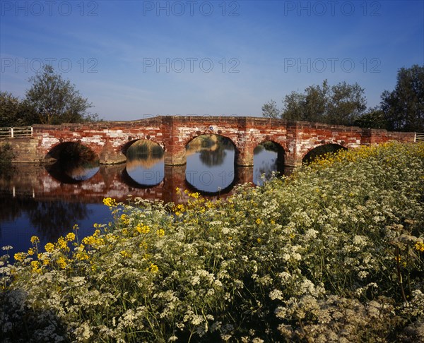 England, Worcestershire, Bridges, Old sandstone road bridge across the River Avon near village of Eckington with mass of Cow parsley and other wild flowers on river bank in the foreground. Photo : Bryan Pickering