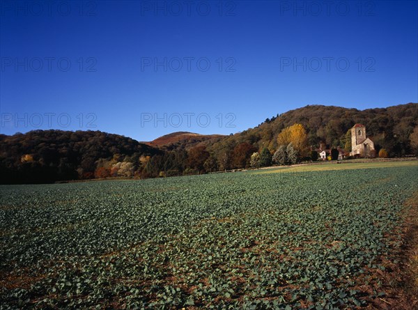 England, Hereford and Worcester, Malvern Hills, View across field and brassica crop towards Little Malvern Priory situated at the southern end of the Malvern Hills with Hereford Beacon centre left. Photo : Bryan Pickering