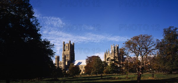 England, Cambridgeshire, Ely, View across meadow with trees in Autumn colours towards exterior of ely Cathedral. Photo : Bryan Pickering