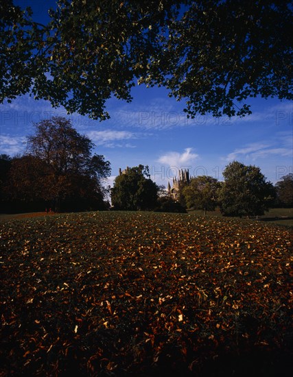 England, Cambridgeshire, Ely, View across meadow with trees in Autumn colours towards exterior of ely Cathedral. Photo : Bryan Pickering