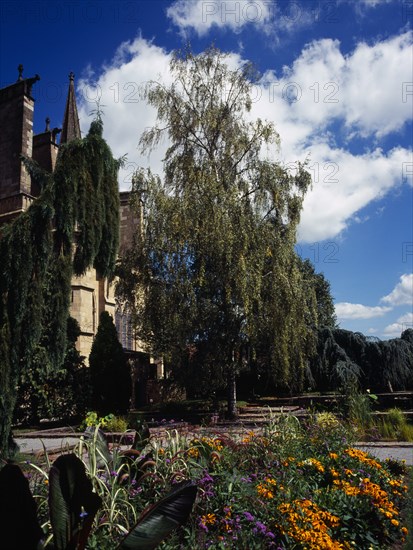 France, Limousin, Haute-Vienne, Limoges. Central Museum Gardens with Silver Birch tree in centre. Photo : Bryan Pickering