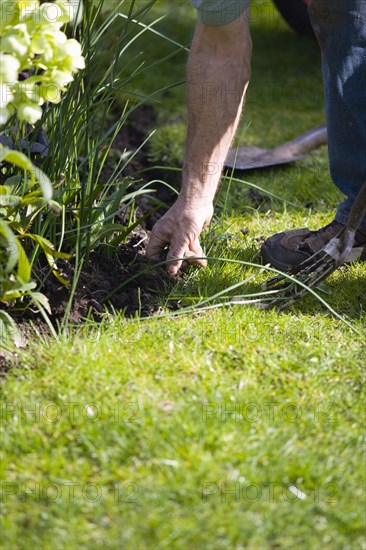 Gardening, Gardener